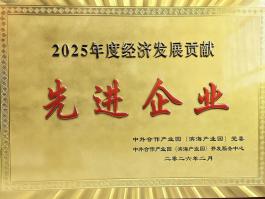 双喜临门！多维达荣获两项先进企业称号